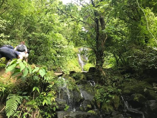 Hiking up the Costa Rican rainforest rocks