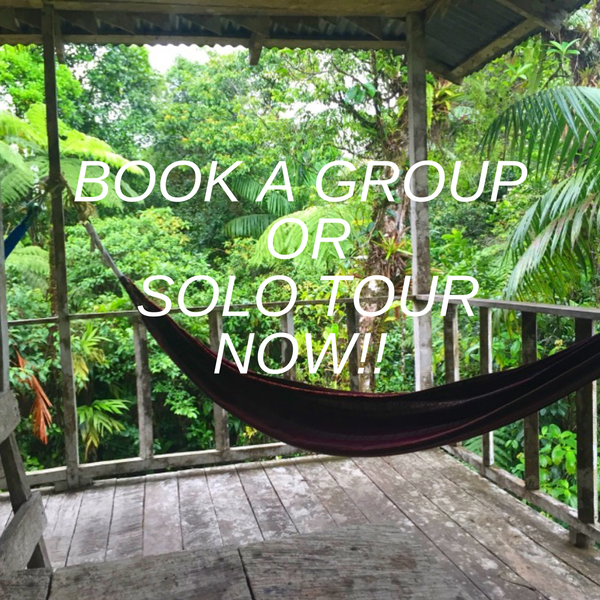 Book a Costa Rican Ecotour 