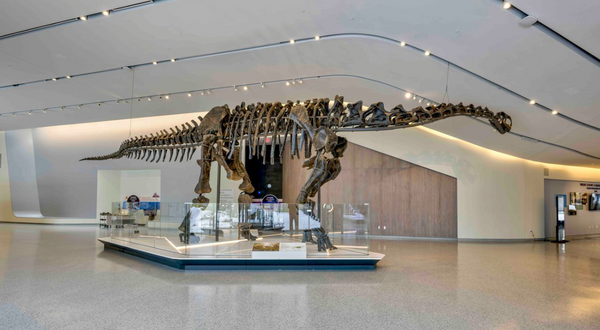 Finish Carpentry Crew at Cleveland Museum of Natural History, Panzica Construction.png