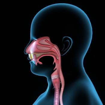 human-throat-diagram.jpg