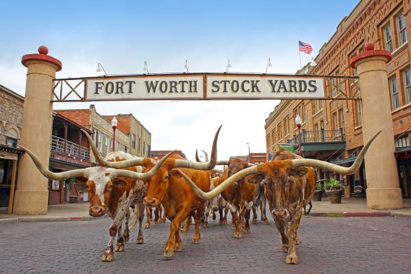 FortWorthStockyards_200f259c-a84e-4fbd-ba8e-6672546ded03.jpg