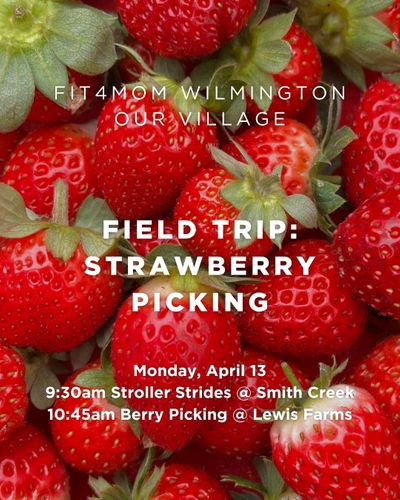 Field Trip Strawberry Picking.jpg