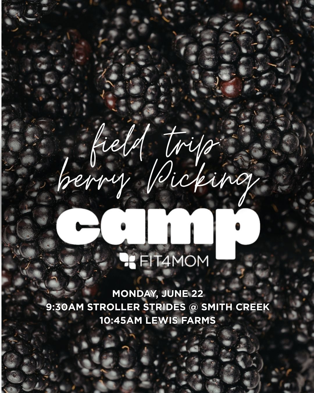 Berry Picking Field Trip.jpg