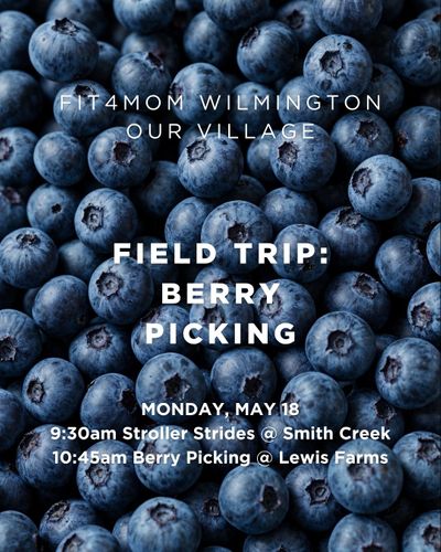 Field Trip Berry Picking.jpg
