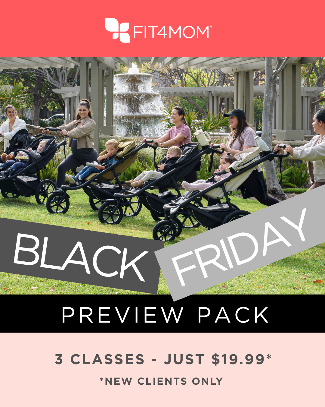 Copy of FRAN - TEMP - Black Friday -  Portrait  (3).png