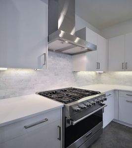 2010 Goodrich Ave 1B-large-018-Kitchen 005-667x1000-72dpi.jpg