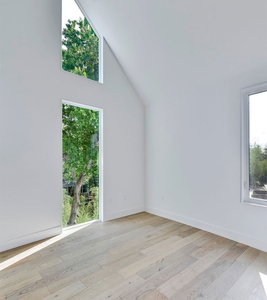 window.jpg