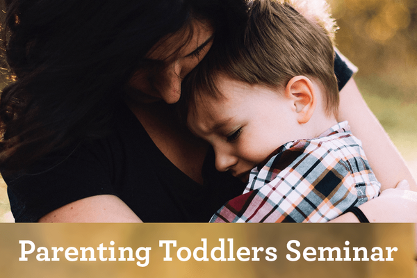 Parenting Toddlers Semiar Web Image.png