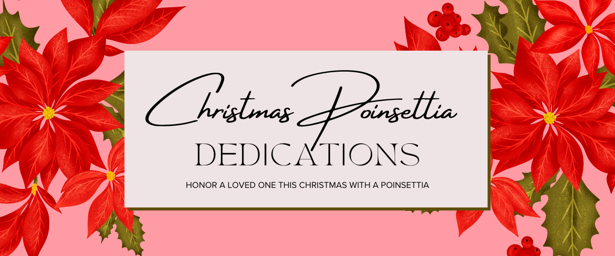 Pointsettia Christmas 2025 webslide.png
