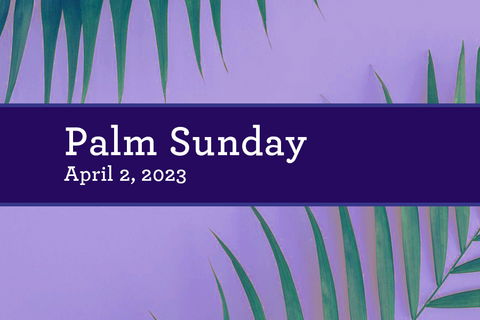 Palm Sunday 23 Web Image copy.png