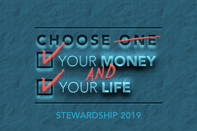 STEWARDSHIP 2019 Webslide copy 3.png
