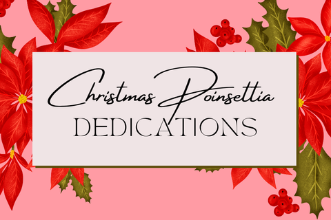 Pointsettia Christmas 2025 web images.png