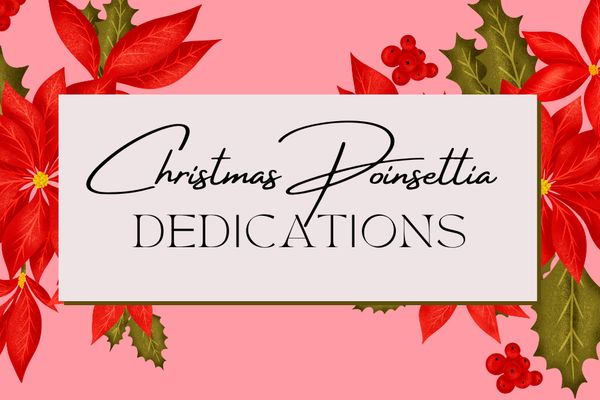 Pointsettia Christmas 2025 web images.png