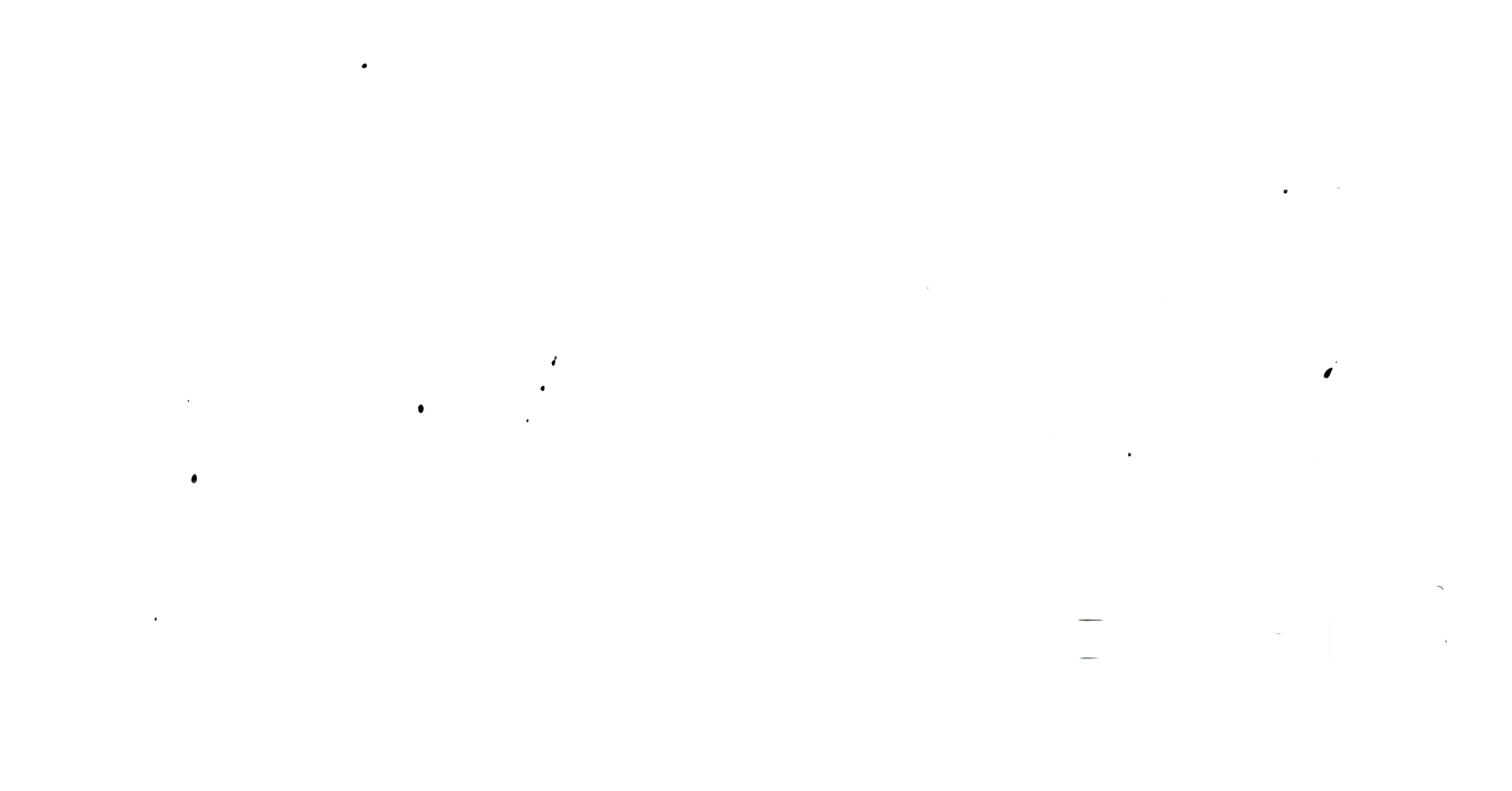 Lacoste Hair Designs