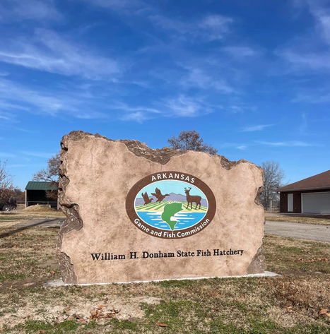 Screenshot 2025-10-28 at 1.28.30%E2%80%AFPM.png