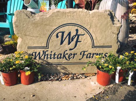 WhitakerFarms.jpg