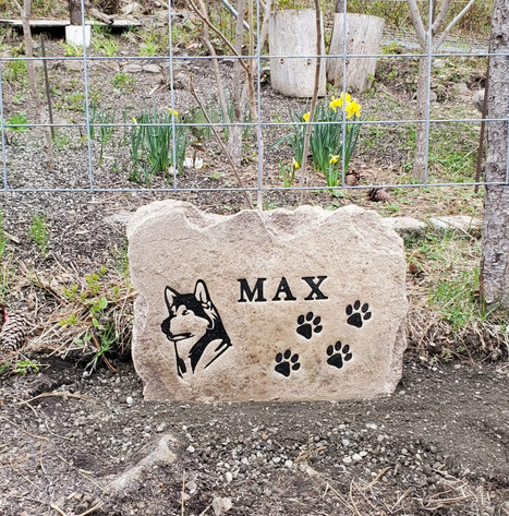 Screenshot 2025-08-08 at 10.38.15%E2%80%AFAM.png