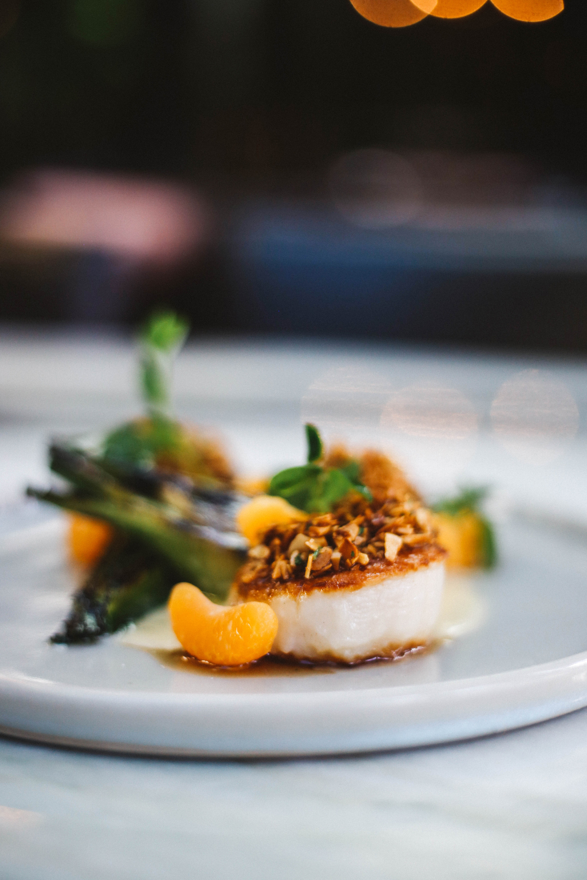 Diver Sea Scallops (2).jpg