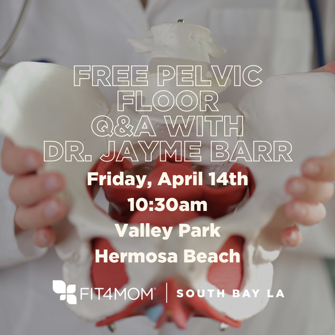 FREE Pelvic Floor Q&A with Dr. Jayme Barr.png