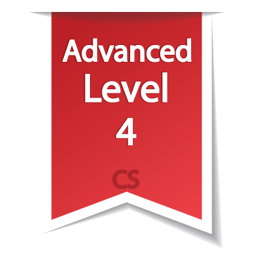 Advanced-level-4.png