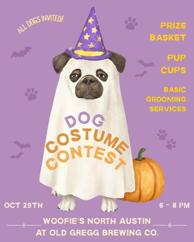 Dog Costume Contest-6.jpg