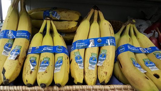 Organic Bananas.jpg