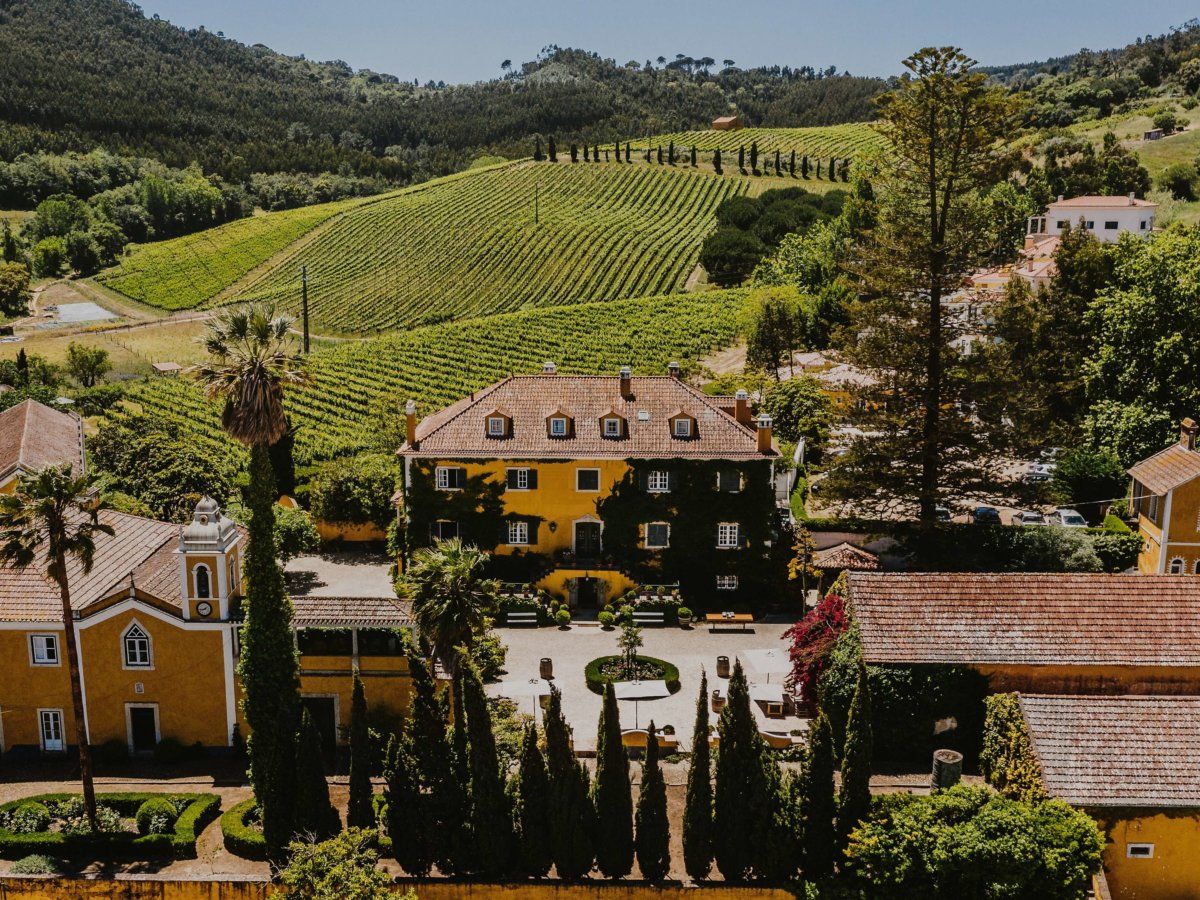 Quinta da Sant'Anna Winery