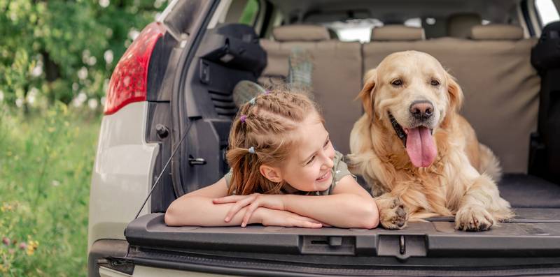 Pet Care