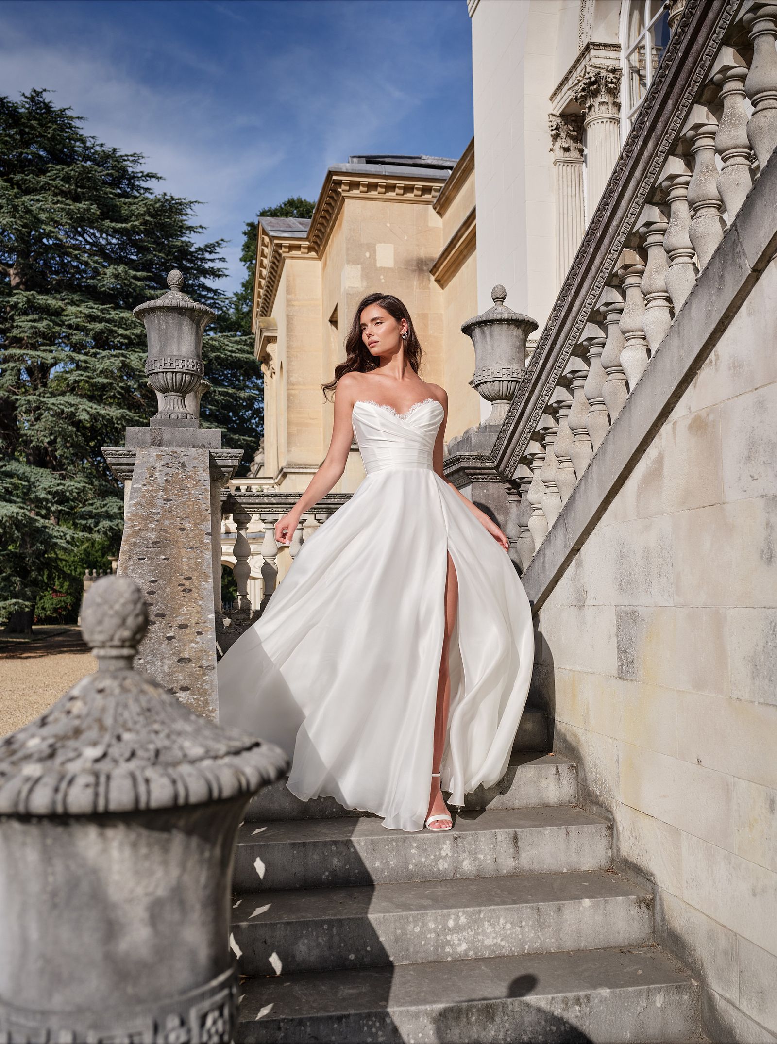 BBB - SN Silvaine .jpg