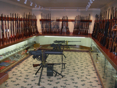 Rifles lined up on a gun rack above a gun case that contains small firearms.