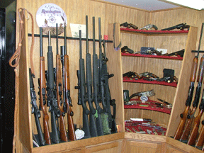 A series of different rifles, shotguns, and pistols resting on a gun rack in a vault room.