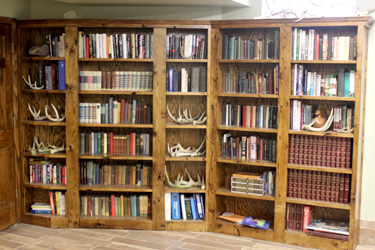 BookcaseVault_01.jpg