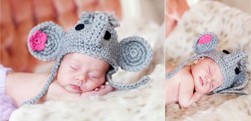 Denver Newborn Photographer