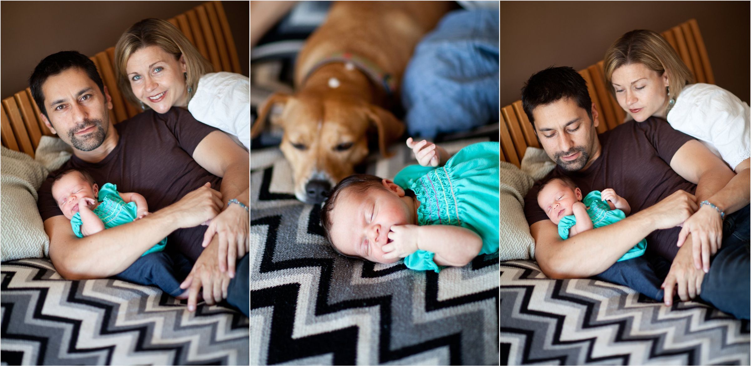 Dog-meets-baby-at-Denver-home-location-photoshoot-0003