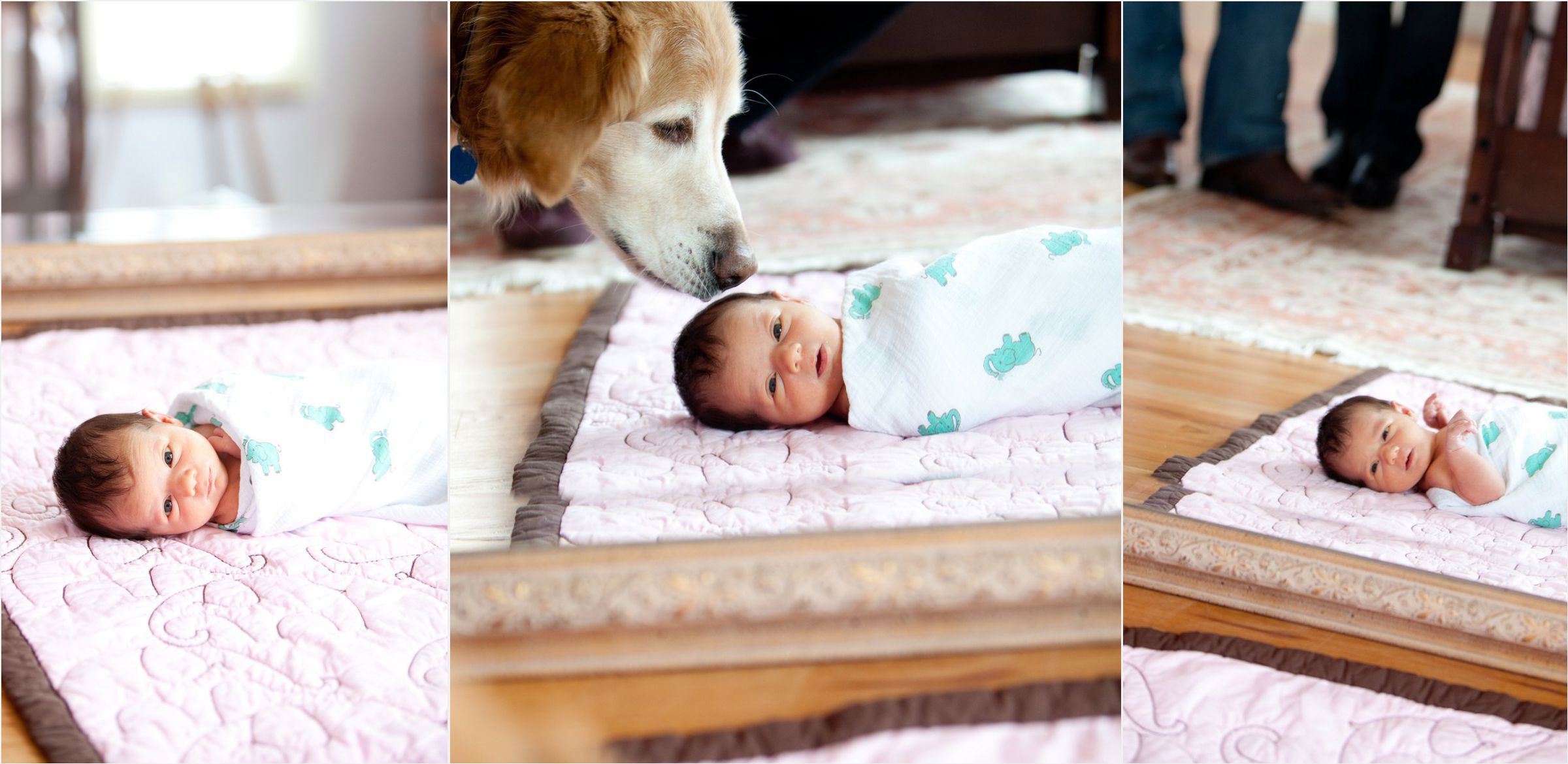 Newborn-swaddled-with-dog-in-baby-nursery-in-hilltop-denver-home-006