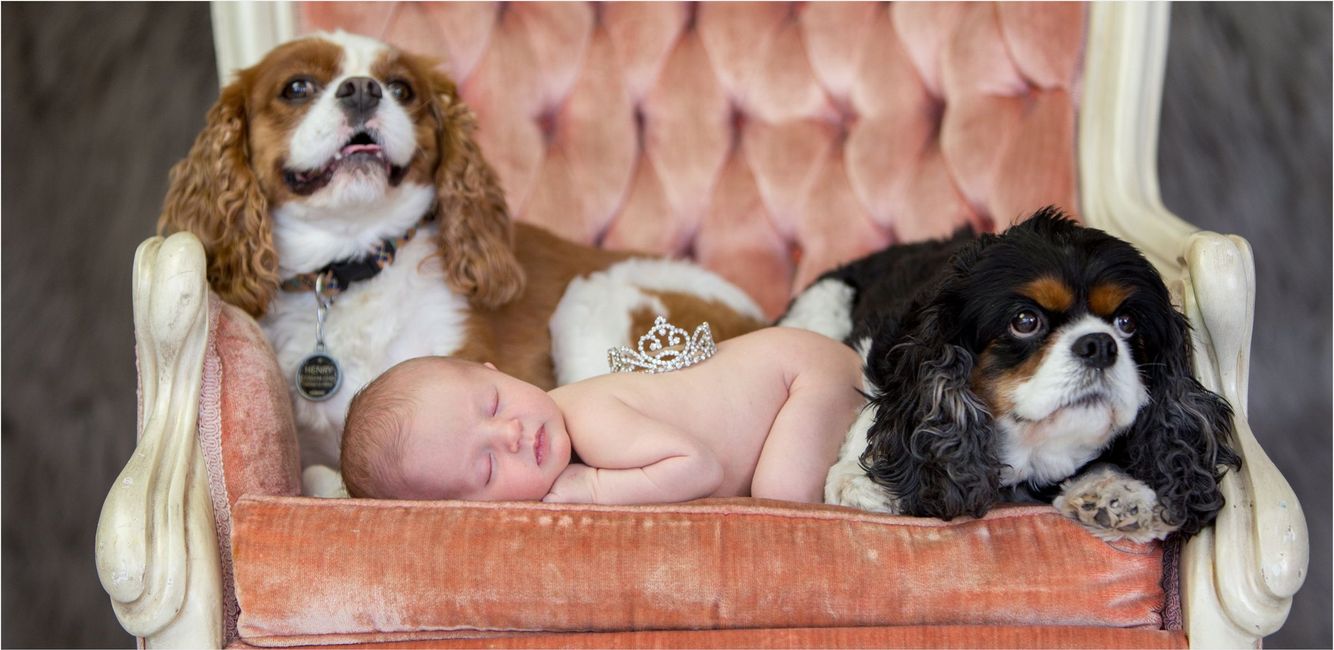 02-Denver Family Photography.jpg