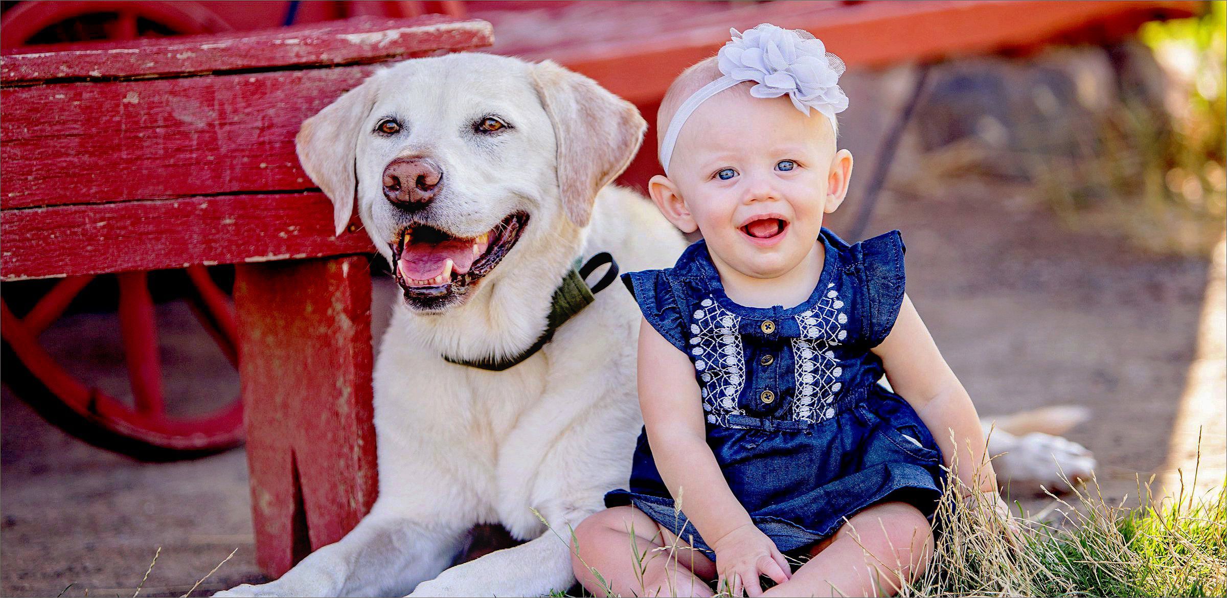 Denver Children's Photography