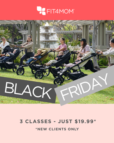 Copy of Copy of FRAN - TEMP - Black Friday -  Portrait .png