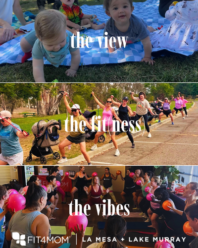 the view (1).png