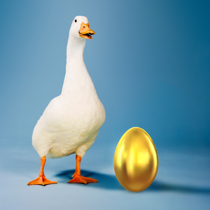 DSE_dec blog 2_Golden Goose.png