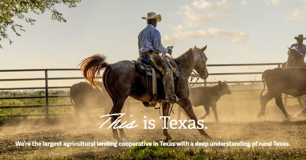 capital_farm_credit_dripping_springs_texas.JPG