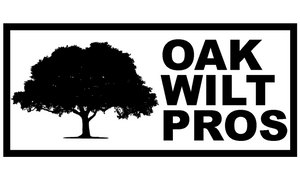 owp - logo aug.png