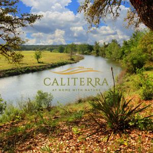 Caliterra_Dripping_Springs_Texas.jpg