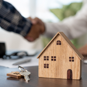 DSE Nov Blog 3 - FAQs when buying a home (1).png