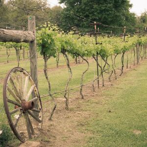 Texas Agriculture Loans.jpg