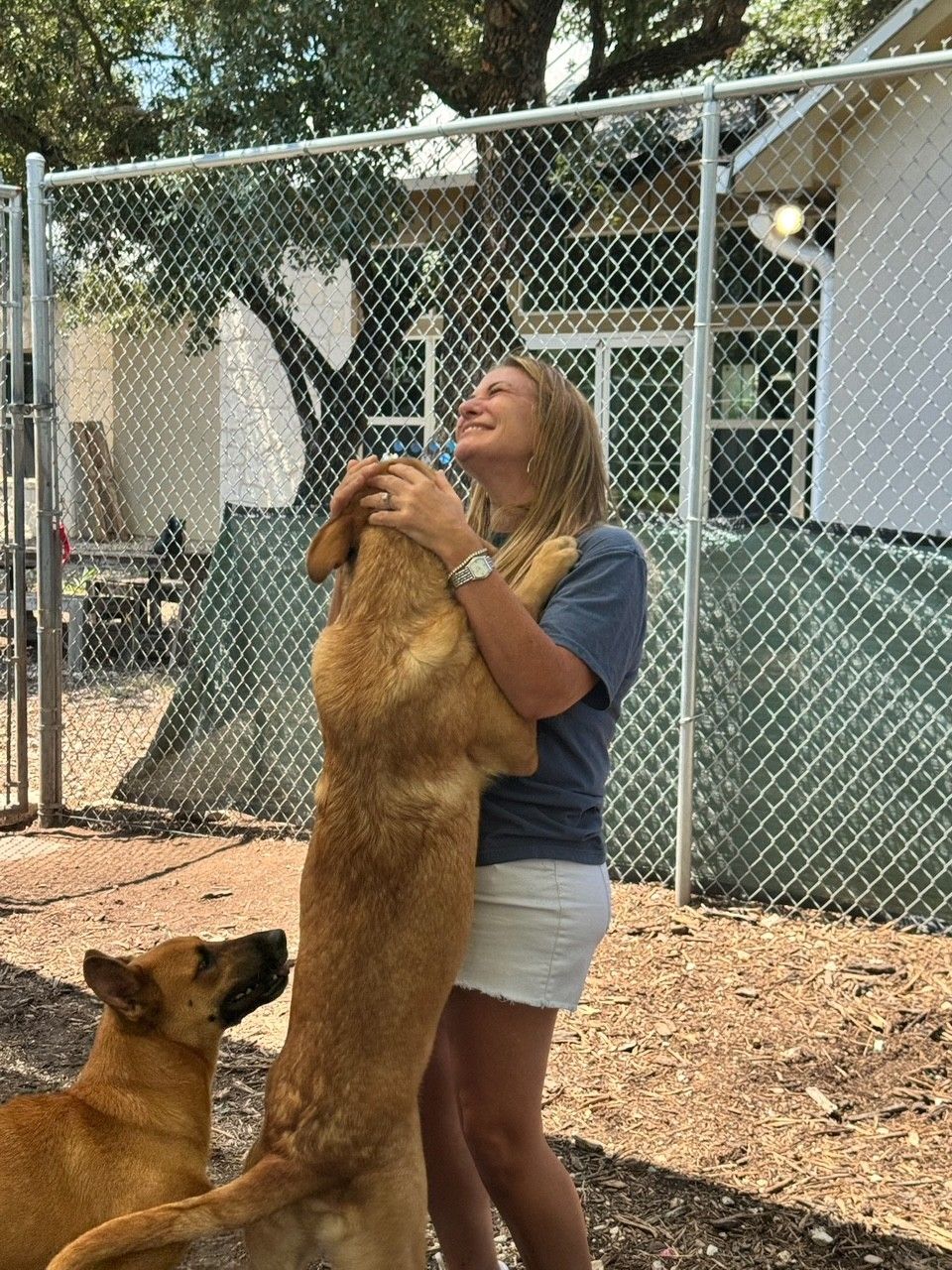 Dripping_Springs_Elite_PAWS_Shelter_Kelli_Whirlow.jpg
