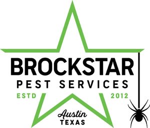Brockstar-Stacked-Color.jpg