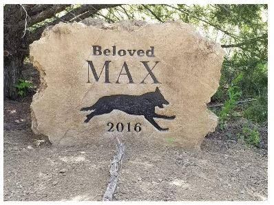 beloved max.jpg