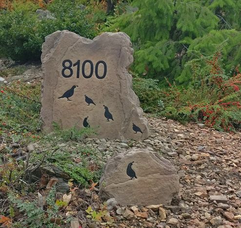 Wildlife graphics on your address boulder