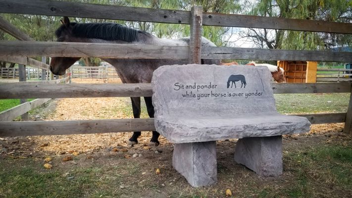 Engraved your message and graphic on a stone bench! Stone benches are a great addition to your garden.